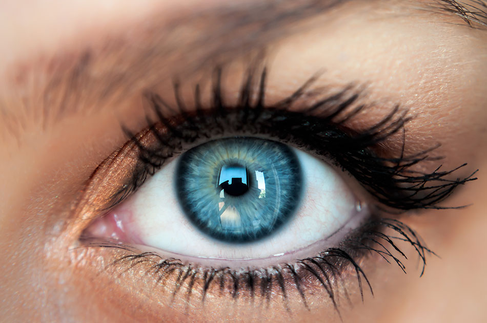Unveiling the Origins of Coloured Contact Lenses | WeArEllison.com