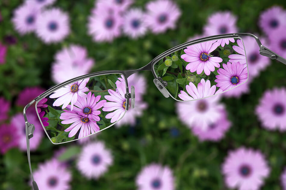 a bird’s eye view of purple flowers through the lenses of a pair of glasses