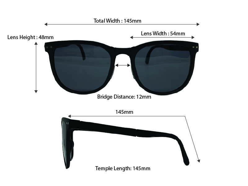 Foldable Adult Sunglasses (Black)